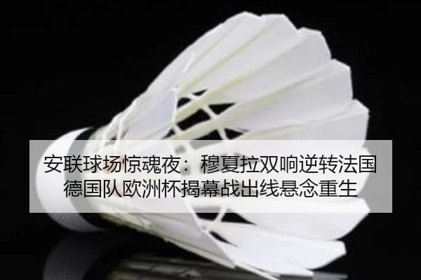 安联球场惊魂夜：穆夏拉双响逆转法国 德国队欧洲杯揭幕战出线悬念重生